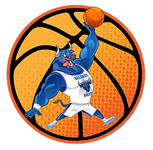 BelfastBulls-Logo2.png
