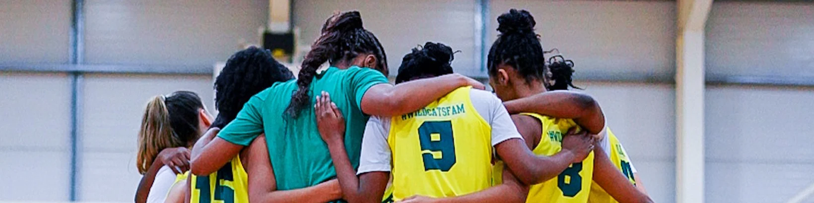 Basketball England Banner